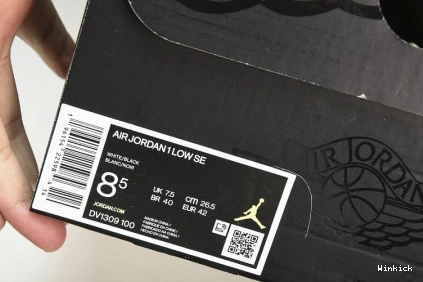 1 SE Jordan Concord Low DV1309-100 0723
